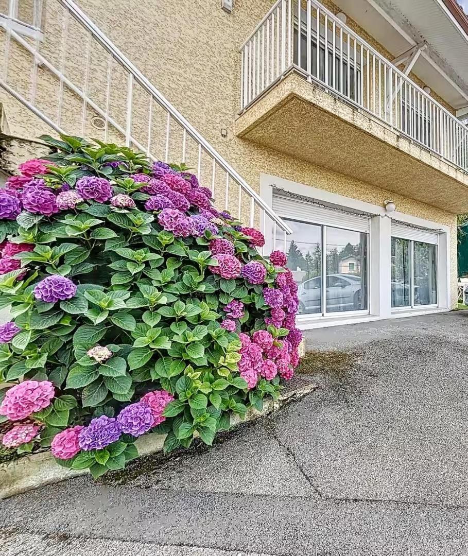 L'Echappee Viennoise Apartment Vienne  Exterior foto